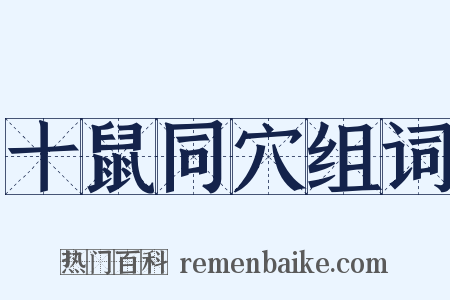 十鼠同穴组词是什么意思的图片